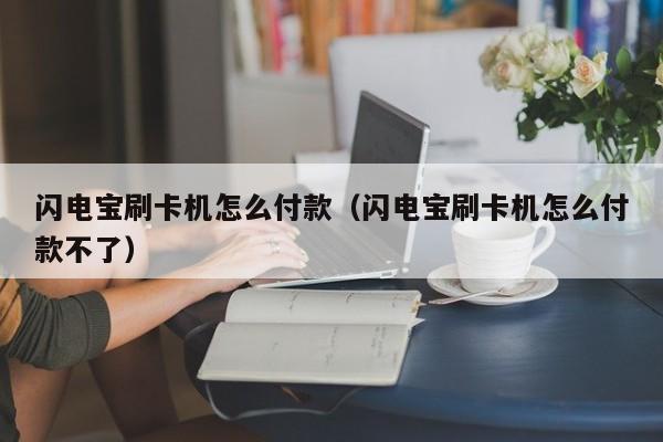 闪电宝刷卡机怎么付款（闪电宝刷卡机怎么付款不了）