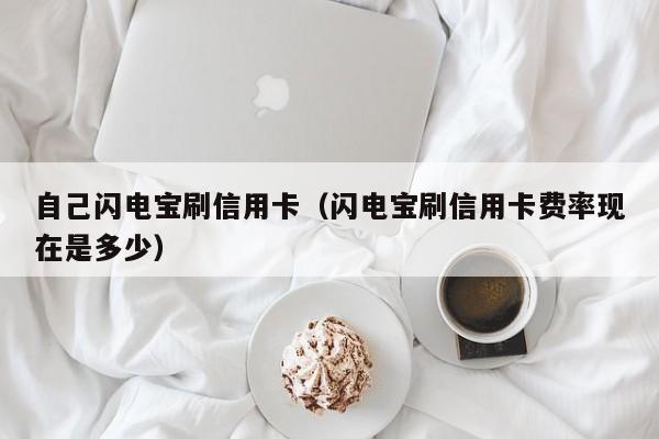 自己闪电宝刷信用卡（闪电宝刷信用卡费率现在是多少）